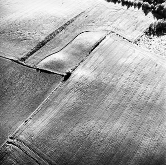 Scaniport Wood, oblique aerial view, taken from the S, centred on the cropmarks of a palisaded enclosure and round house.