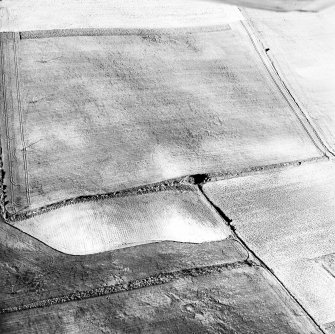 Scaniport Wood, oblique aerial view, taken from the NW, centred on the cropmarks of a palisaded enclosure and round house.