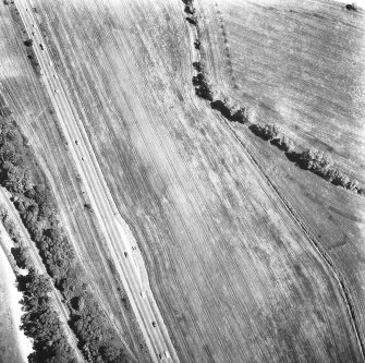 Oblique aerial view.