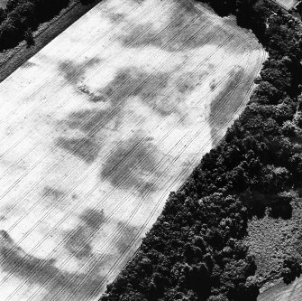 Cullaird, oblique aerial view, taken from the NNE, centred on the cropmarks of a possible enclosure.