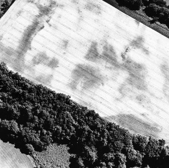 Cullaird, oblique aerial view, taken from the WNW, centred on the cropmarks of a possible enclosure.