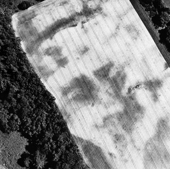 Cullaird, oblique aerial view, taken from the SW, centred on the cropmarks of a possible enclosure.