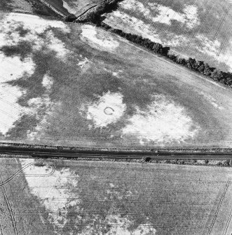 Drumrosach, oblique aerial view, taken from the SSW, centred on the cropmarks of a ring-ditch.