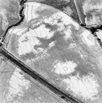 Drumrosach, oblique aerial view, taken from the SE, centred on the cropmarks of a ring-ditch and two pit-circles.