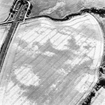 Drumrosach, oblique aerial view, taken from the E, centred on the cropmarks of a ring-ditch and two pit-circles.