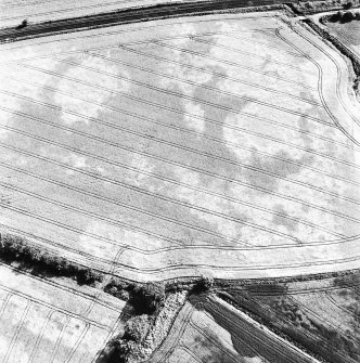Drumrosach, oblique aerial view, taken from the NE, centred on the cropmarks of a ring-ditch and two pit-circles.