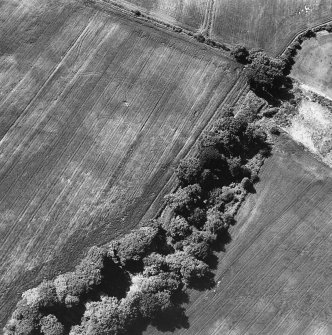 Oblique aerial view.