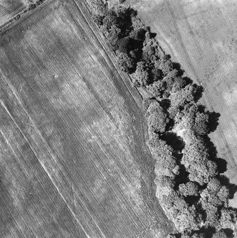 Oblique aerial view.