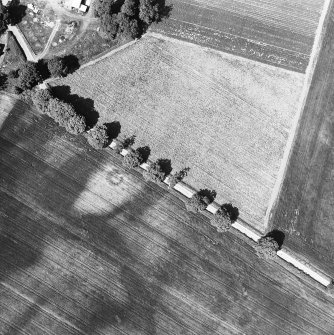 Oblique aerial view.