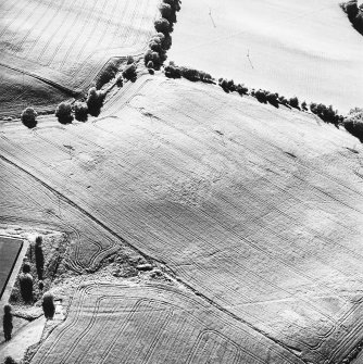 Old Town of Leys, oblique aerial view, taken from the SE, centred on the cropmarks of a palisaded enclosure.