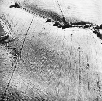 Old Town of Leys, oblique aerial view, taken from the NE, centred on the cropmarks of a palisaded enclosure.