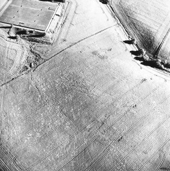 Old Town of Leys, oblique aerial view, taken from the N, centred on the cropmarks of a palisaded enclosure.