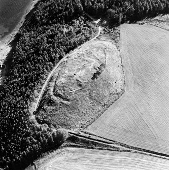 Oblique aerial view centred on the remains of the castle and the possible fort, taken from the NNE.