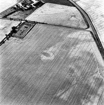 Allanfearn, oblique aerial view, taken from the ESE, centred on cropmarks, including an enclosure and a pit-setting. Allanfearn Farm is visible in the top left-hand corner of the photograph.