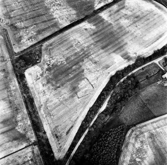 Rhives, oblique aerial view, taken from the WSW, centred on the cropmarks of an enclosure.