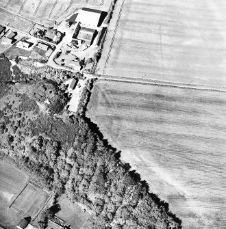 Cromal Mount, oblique aerial view, taken from the SW, centred on the cropmarks of a fort.