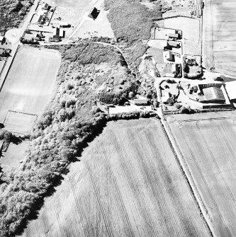 Cromal Mount, oblique aerial view, taken from the S, centred on the cropmarks of a fort.