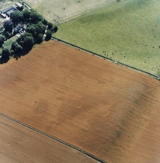 Oblique aerial view centred on the cropmarks of the unenclosed settlement with Budgate House adjacent, taken from the NE.