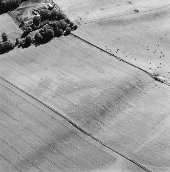Oblique aerial view centred on the cropmarks of the unenclosed settlement with Budgate House adjacent, taken from the NNE.