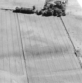 Oblique aerial view centred on the cropmarks of the unenclosed settlement with Budgate House adjacent, taken from the NW.