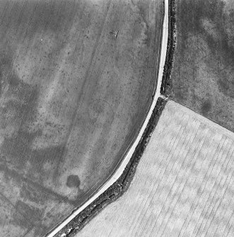 Oblique aerial view centred on the cropmarks of the palisaded enclosure, taken from the WNW.