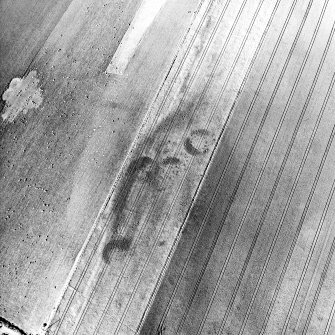 Brackley, oblique aerial view, taken from the SW, centred on the cropmarks of a group of round houses.