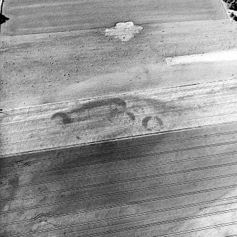 Brackley, oblique aerial view, taken from the SW, centred on the cropmarks of a group of round houses.