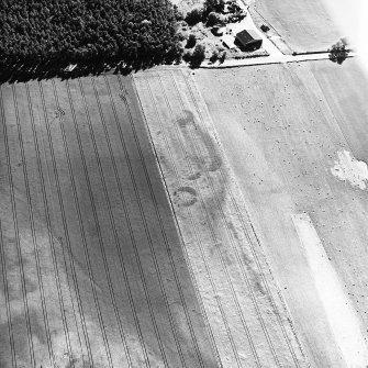 Brackley, oblique aerial view, taken from the NE, centred on the cropmarks of a group of round houses.
