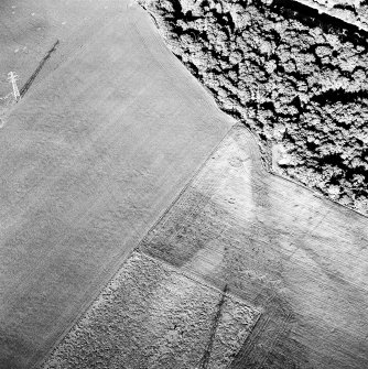 Cawdor, oblique aerial view, taken from the W, centred on the cropmark of a ring-ditch.