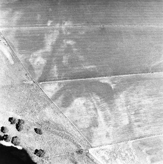 Mains of Garten, oblique aerial view, taken from the SW, centred on the cropmarks of a barrow cemetery.