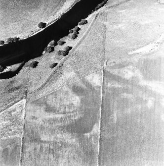 Mains of Garten, oblique aerial view, taken from the SE, centred on the cropmarks of a barrow cemetery.