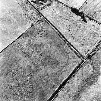 Bogside of Brodie, oblique aerial view, taken from the SE, centred on the cropmarks of an enclosure and a possible enclosure.