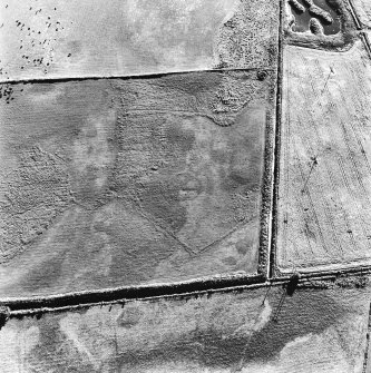 Bogside of Brodie, oblique aerial view, taken from the ENE, centred on the cropmarks of an enclosure and a possible enclosure.