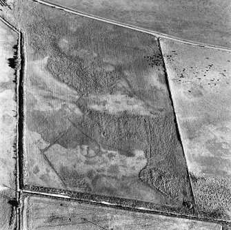 Bogside of Brodie, oblique aerial view, taken from the NNW, centred on the cropmarks of an enclosure and a possible enclosure.