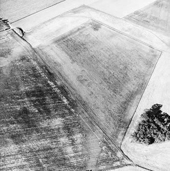 Gallows Hill, oblique aerial view, taken from the SW, centred on the cropmarks of an unenclosed settlement.
