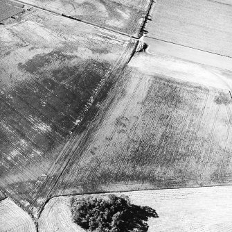 Gallows Hill, oblique aerial view, taken from the S, centred on the cropmarks of an unenclosed settlement.