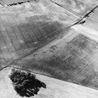 Gallows Hill, oblique aerial view, taken from the SE, centred on the cropmarks of an unenclosed settlement.