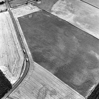 Myreside, oblique aerial view, taken from the NNE, centred on an unenclosed settlement, ring-ditches, a four poster, possible souterrains, pits and other cropmarks.