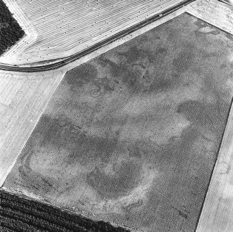 Myreside, oblique aerial view, taken from the NW, centred on an unenclosed settlement, ring-ditches, a four poster, possible souterrains, pits and other cropmarks.