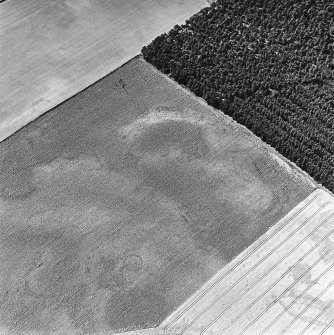 Myreside, oblique aerial view, taken from the ESE, centred on an unenclosed settlement, ring-ditches, a four poster, possible souterrains, pits and other cropmarks.