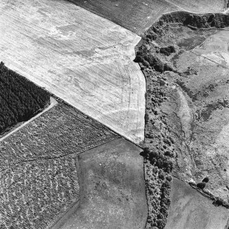 Easterton Wood, oblique aerial view, taken from the N, centred on the cropmarks of a possible fort.