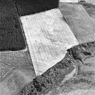Easterton Wood, oblique aerial view, taken from the NW, centred on the cropmarks of a possible fort.
