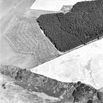 Easterton Wood, oblique aerial view, taken from the WSW, centred on the cropmarks of a possible fort.