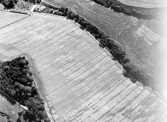 Oblique aerial view.