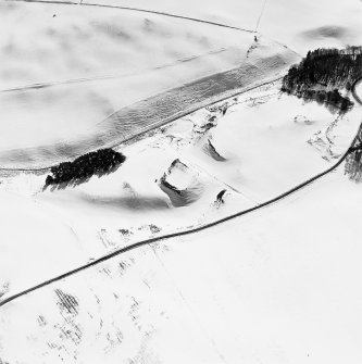 Oblique aerial view of Peel of Fichlie centred on the remains of a motte-and-baliey castle, taken from the NNE.