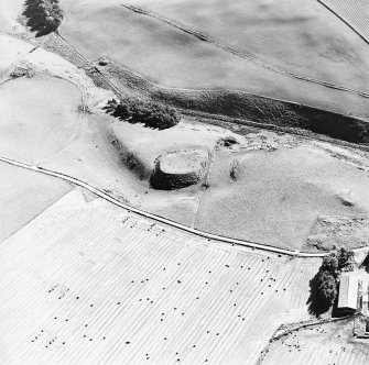 Oblique aerial view of Peel of Fichlie centred on the remains of a motte-and-bailey castle, taken from the NW.