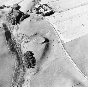 Oblique aerial view of Peel of Fichlie centred on the remains of a motte-and-bailey castle, taken from the E.