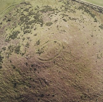 Oblique aerial view of Wheedlemont centred on the remains of a fort, taken from the NNE.