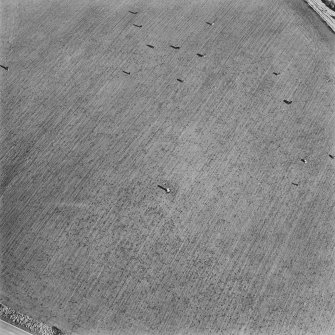 Oblique aerial view of Rhynie, Craw Stone centred on a Pictish symbol stone, taken from the W.