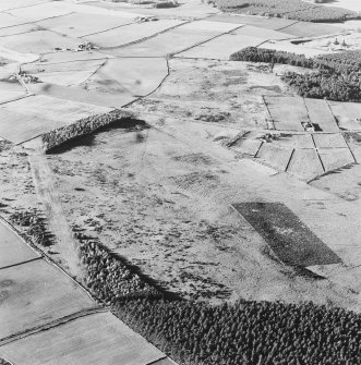 Oblique areial view of Templefold centred on the remains of hut-circles and small cairns, with rig adjacent.  Taken from the SE.